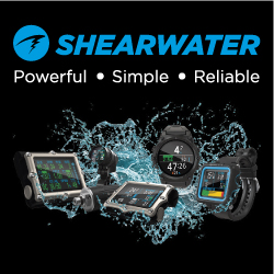 Shearwater